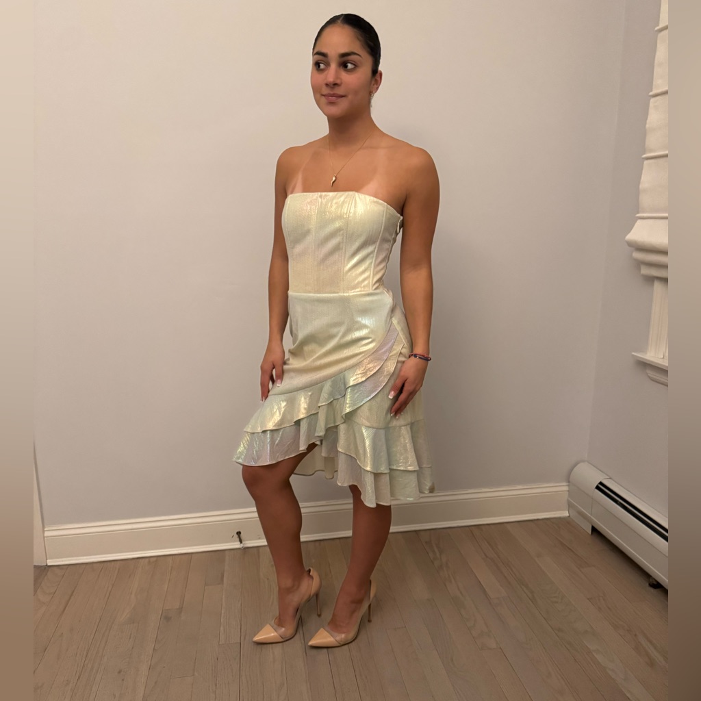 Retrofete Strapless Bustier Dress Iridescent Fabric Ruffle Hem Final Sale